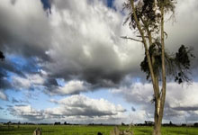 PG中国官网-帕尔梅拉斯主场氛围火爆，球迷热情助阵