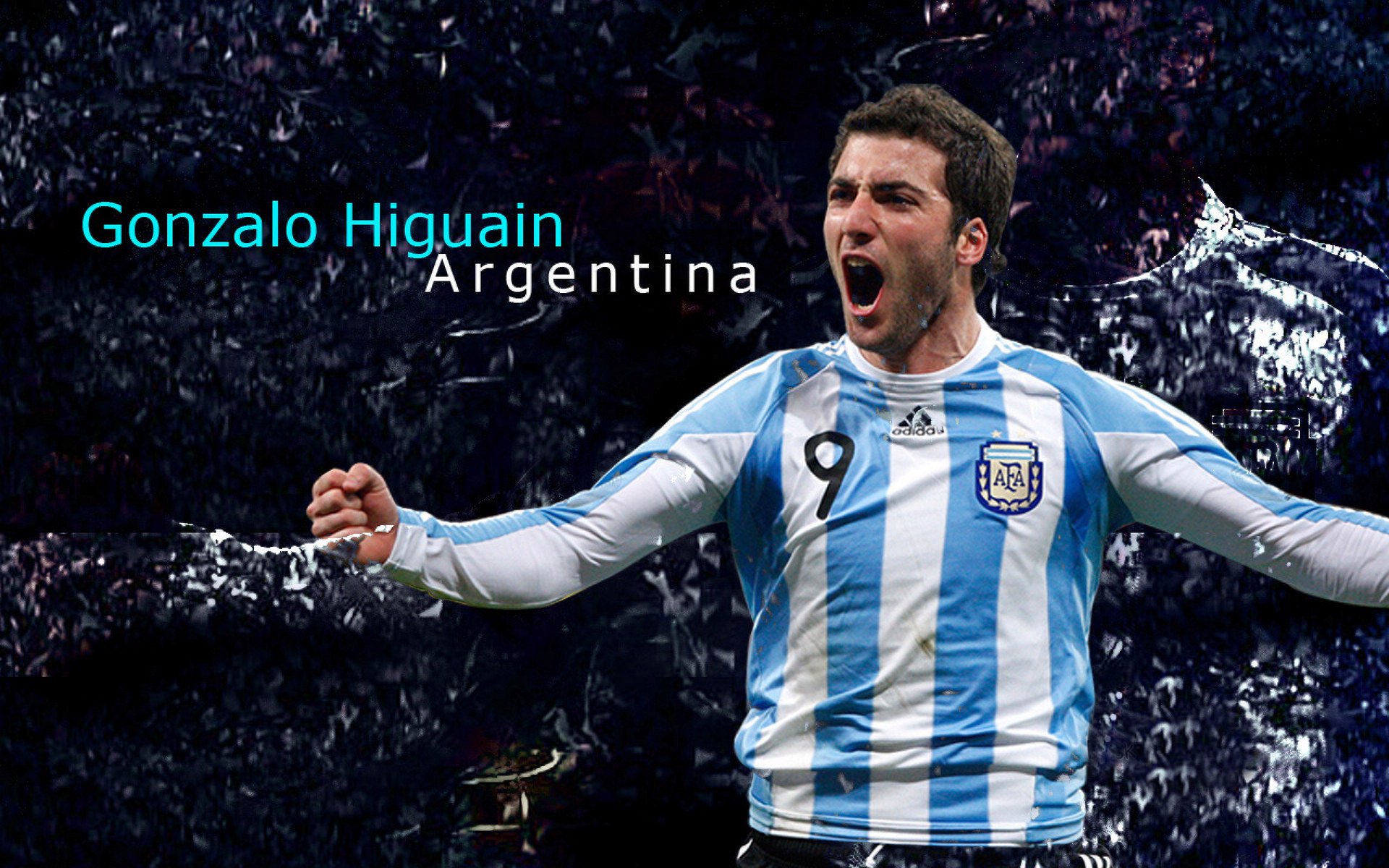 球场的裂隙，当戴维斯杯吞没蒙特卡洛的星光